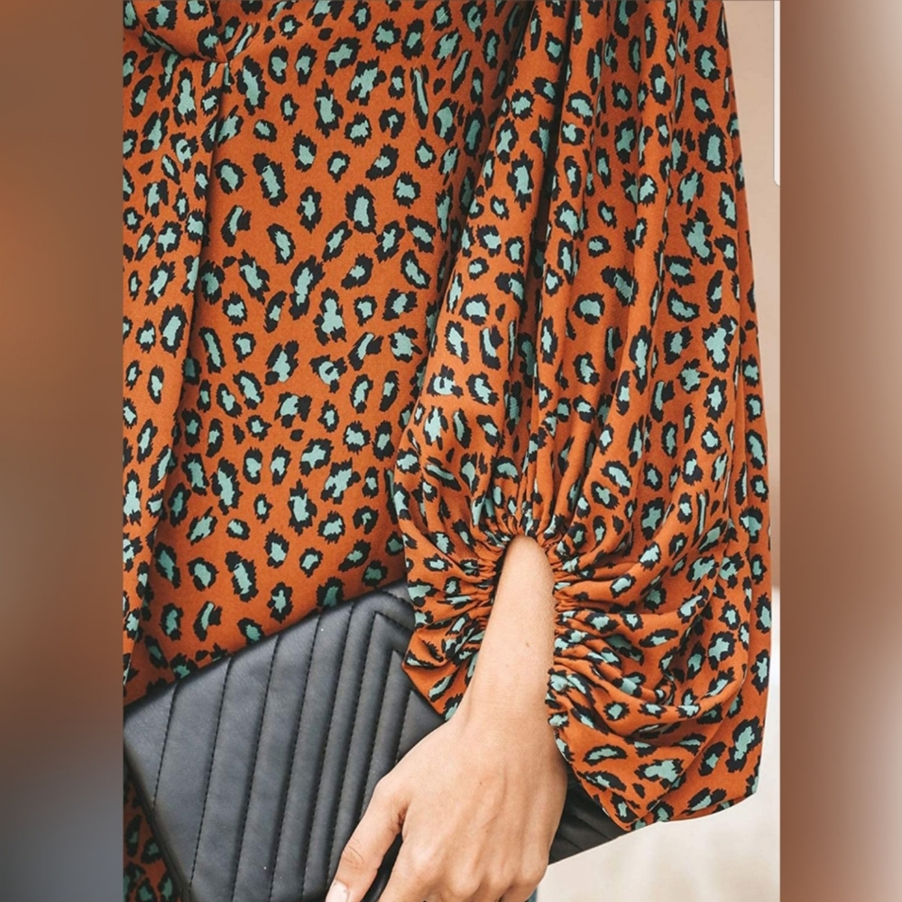 Printed V Neck Lantern Sleeve Blouse Button Down - Picture 4 of 4